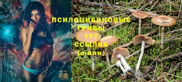 спиды Россошь