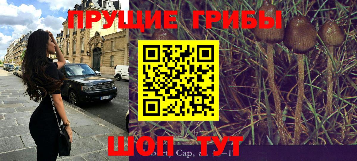 наркотики  Галлюциногенные грибы MAGIC MUSHROOMS  Вход с VPN  Махачкала  Псилоцибиновые грибы GOLDEN TEACHER 