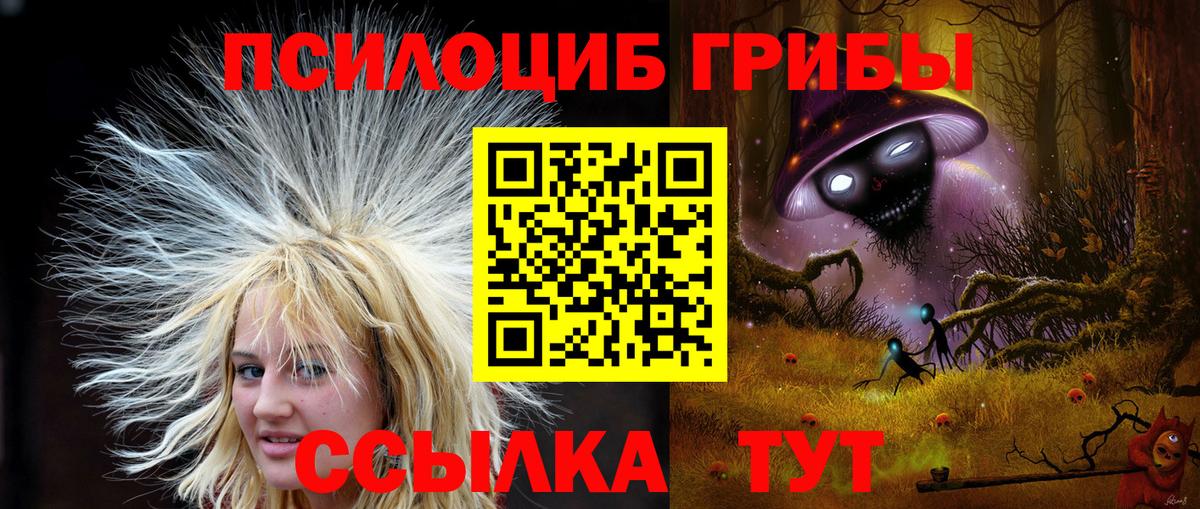 Псилоцибиновые грибы Cubensis Махачкала