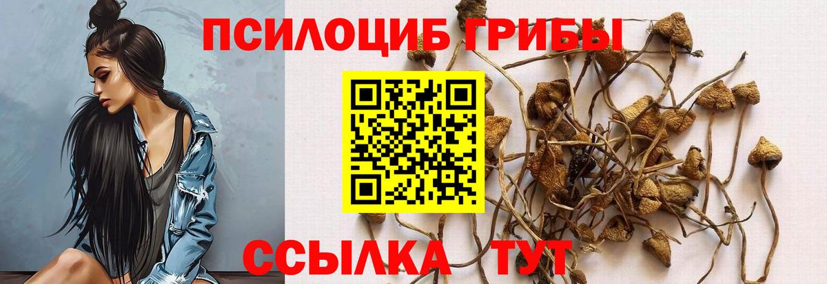 Псилоцибиновые грибы MAGIC MUSHROOMS  Махачкала 