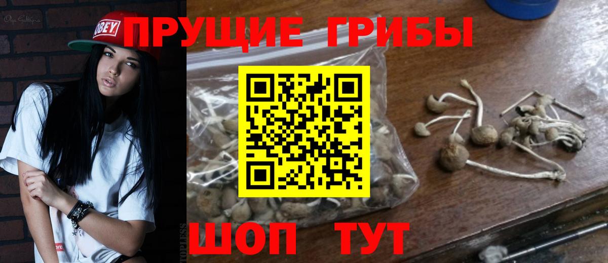 Псилоцибиновые грибы ЛСД Махачкала